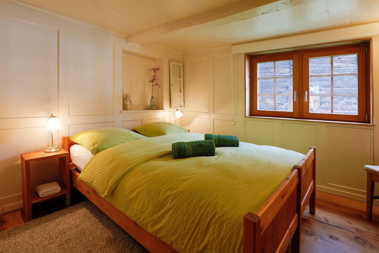 Apartment Werlen ミュンスター エクステリア 写真